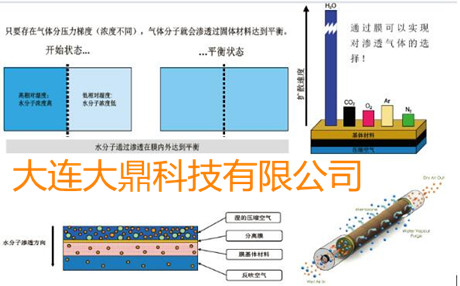 SR空压机后处理干燥设备-SR渗膜式干燥管工作原理图